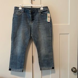 Kur from the Kloth, crop straight leg petite jeans